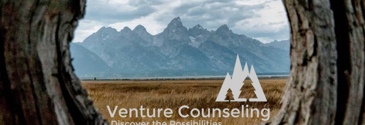 Venture Counseling