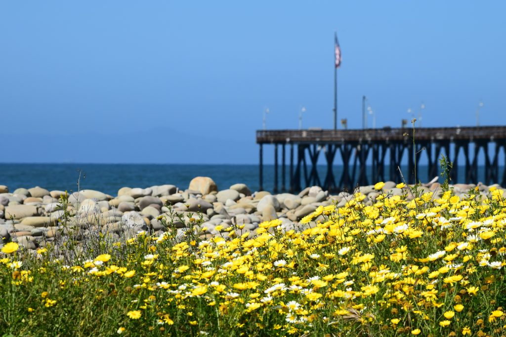 things to do in ventura