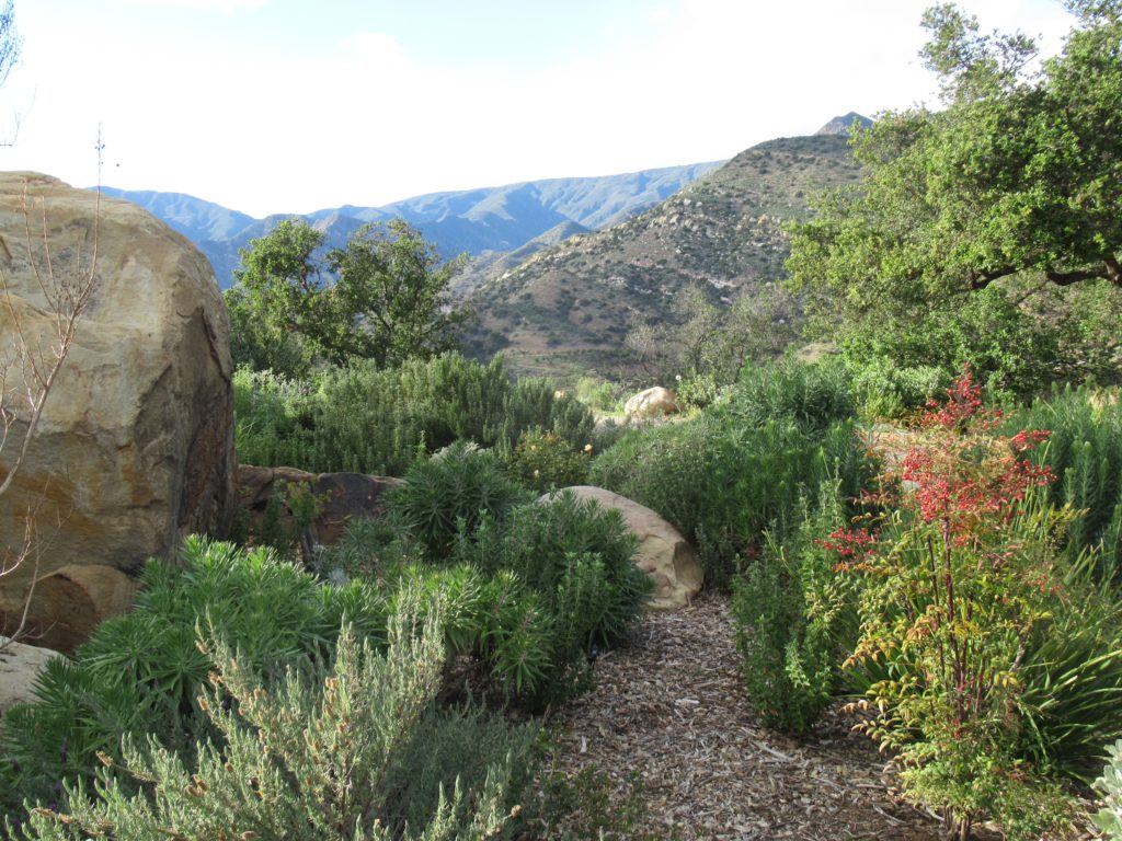things to do in ojai